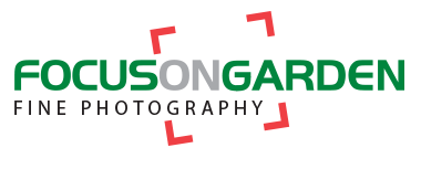 Logodesign, Corporate Design für Focus on Garden von Doris Peiter